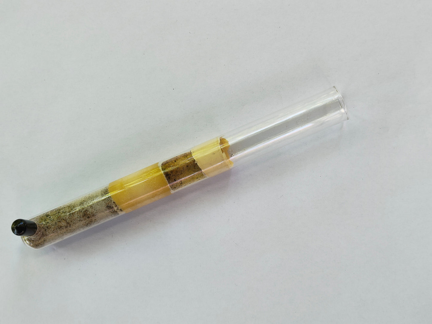 Test Tube Founding Nest