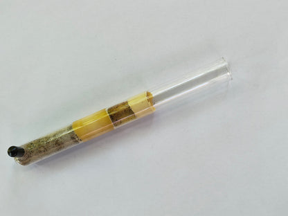 Test Tube Founding Nest