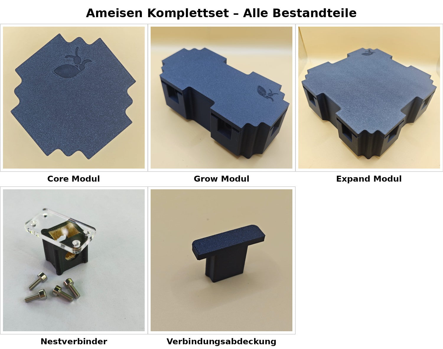 Ameisen Komplettset - alle Bestandteile im Überblick